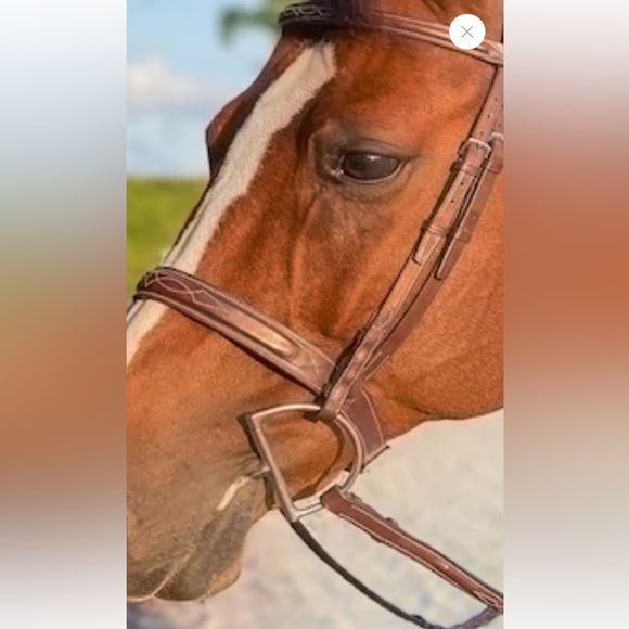 Beval Heritage wide noseband bridle - Picture 1 of 6
